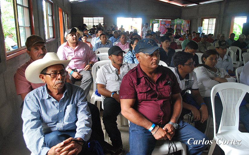 foro-lechero